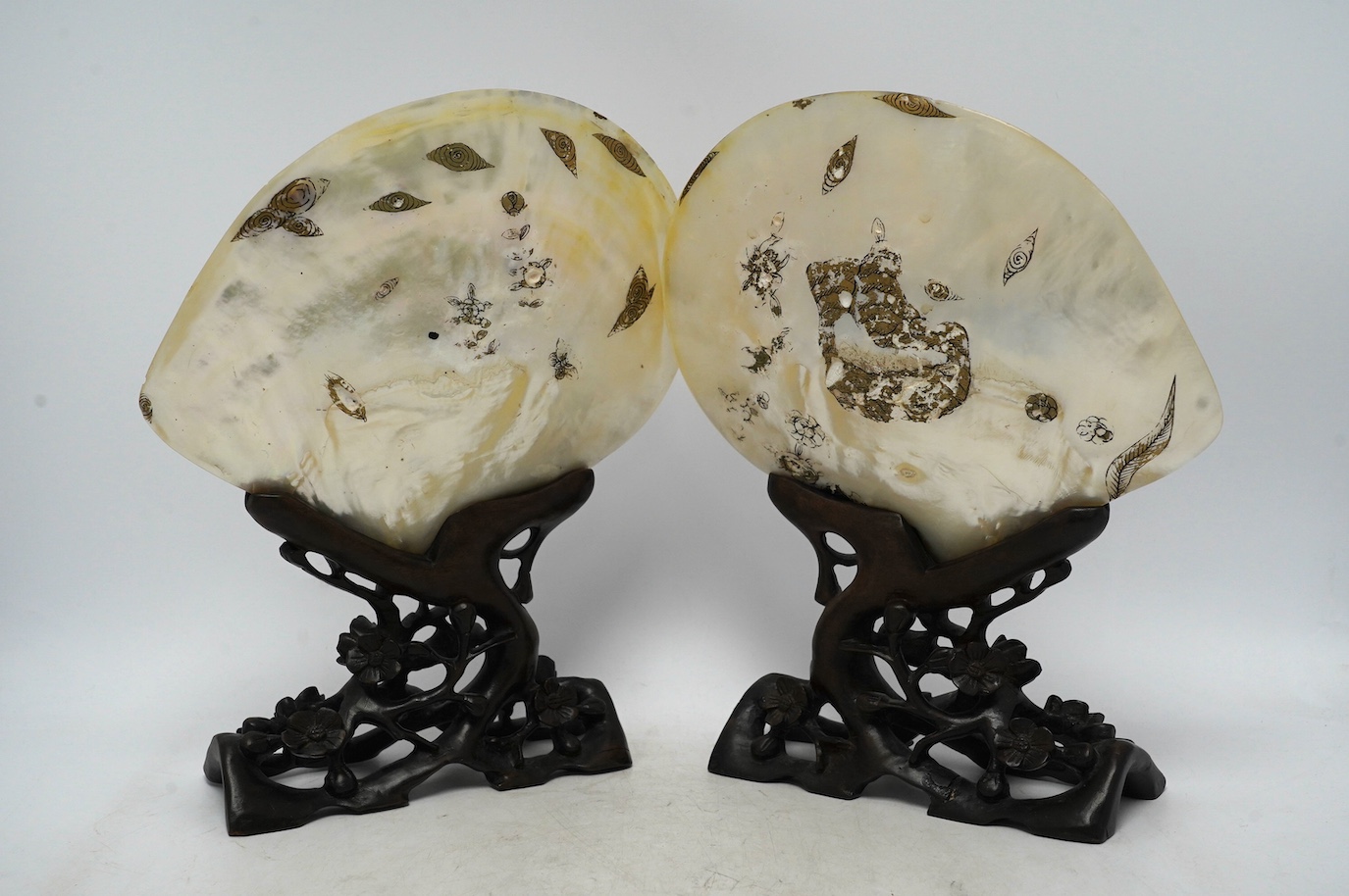 A pair of Japanese gold lacquer mother-of-pearl shells on Chinese hongmu stands, late 19th century, shells 25cm wide. Condition - fair to good